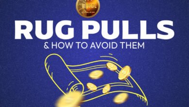 Help them avoid scams and rug pulls