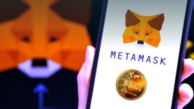 Importance of Meta Mask For MDC