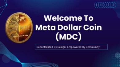 Meta Dollar Coin