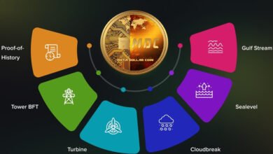 How to Check If a Contract Is Safe Using BscScan
