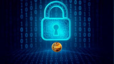 What is the MDC Coin blockchain?