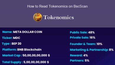 How to Read Tokenomics on BscScan