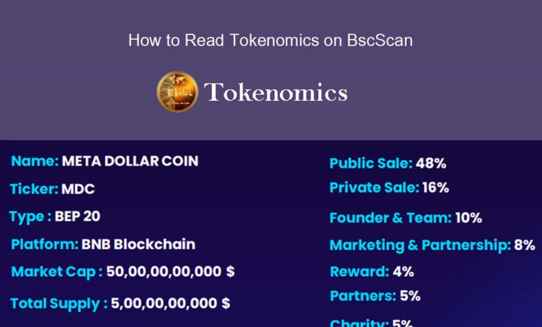 How to Read Tokenomics on BscScan