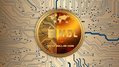 Who created MDC Coin?