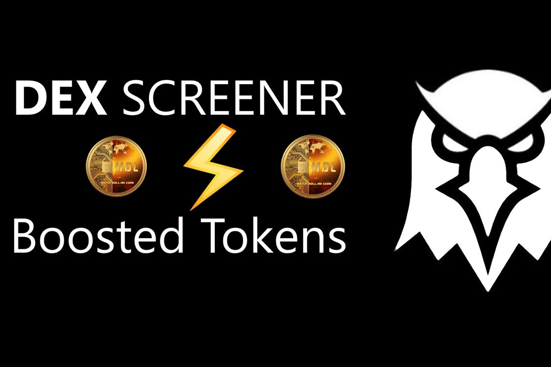 Risks, Limitations & Community Observations