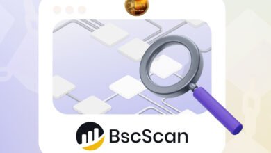 What Happens After Your Token Is Live on BscScan?