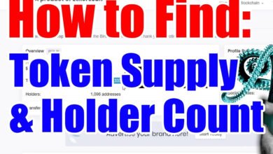 How to Track Top Holders of a Token on BscScan