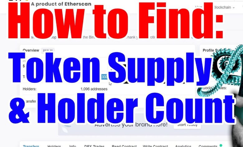 How to Track Top Holders of a Token on BscScan