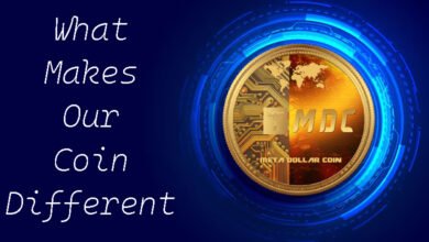 What Makes Our Coin Different