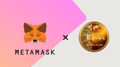 Brief Information Of Meta Mask