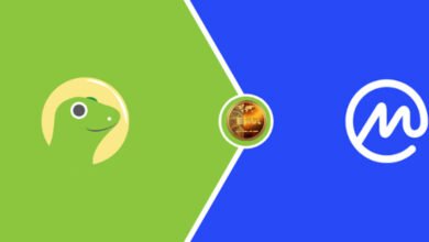 Coin Market Cap vs Coin Gecko