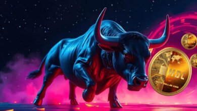 Why Your Meta Dollar Coin Is Positioned for the Next Bull Run