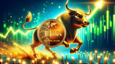 Why MDC Coin Is Perfectly Positioned for the Next Crypto Bull Run