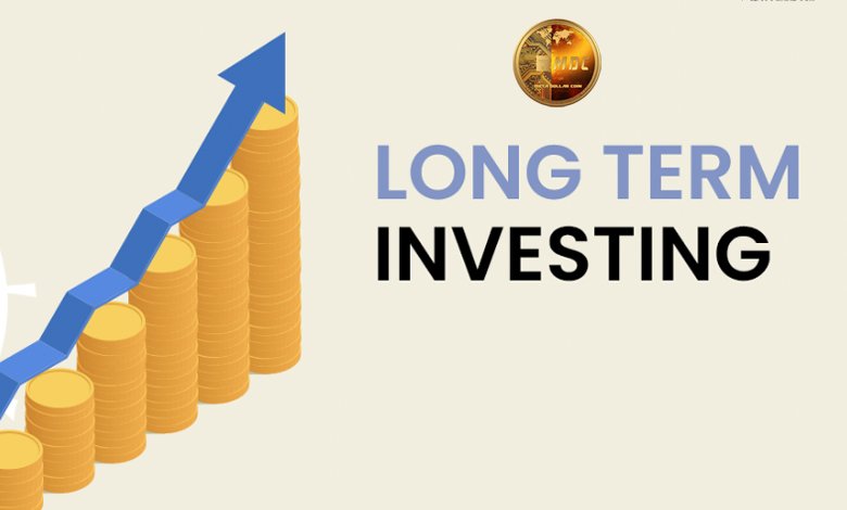 Long-Term Investment Strategy