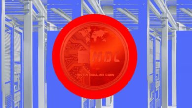 Japan's regulator backs joint stable coin project by three major banks