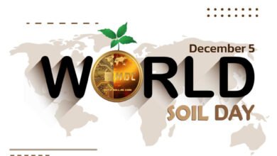 World Soil Day