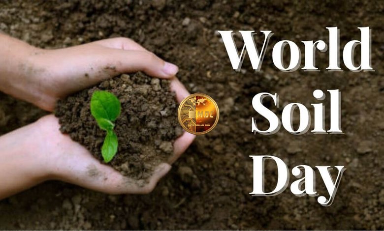World Soil Day