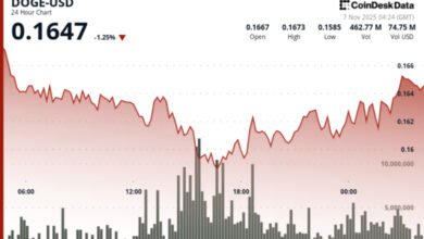 Dogecoin ETF Could Go Live in U.S. Soon