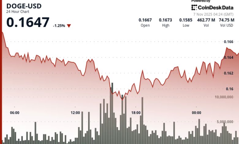 Dogecoin ETF Could Go Live in U.S. Soon