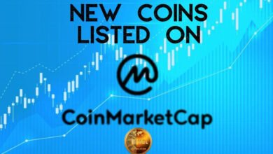 What Happens When a New Coin Gets Listed on CoinMarketCap