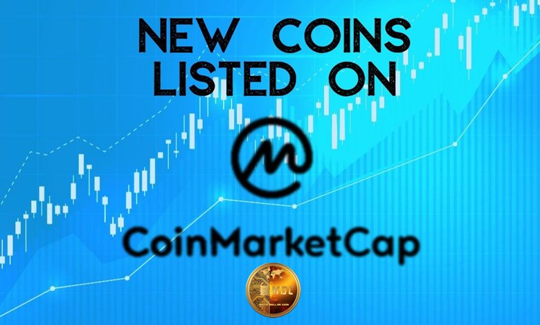 What Happens When a New Coin Gets Listed on CoinMarketCap