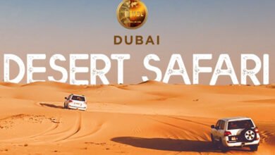 Desert Safari
